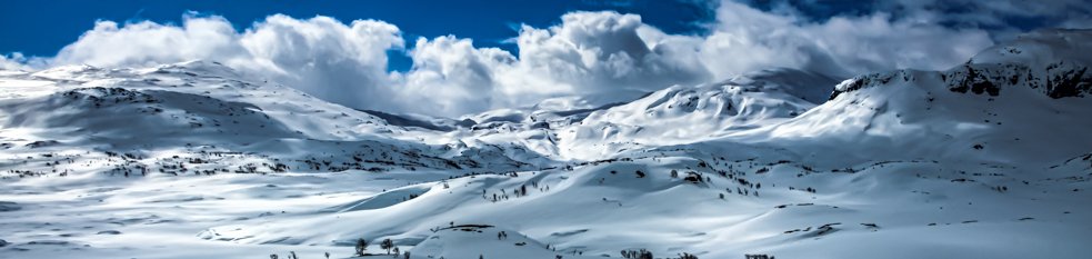NORMANN foto natur – Haukeli fjell